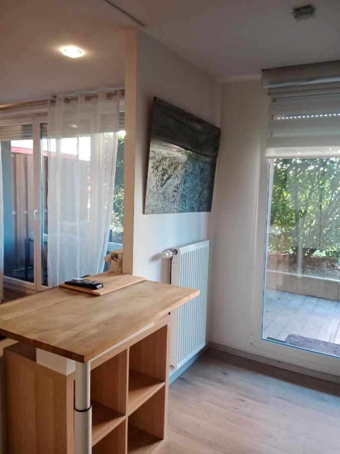 Tres Bel Appartement Rez De Jardin Appart De 53M2. Pfastatt Εξωτερικό φωτογραφία